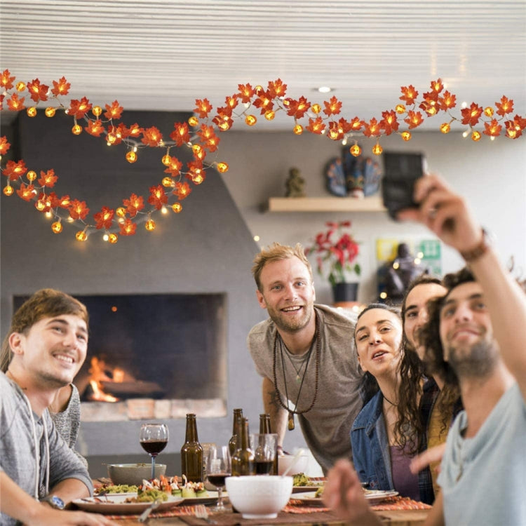 6m 40 LEDs Maple Pumpkin Lantern String Lights Halloween Thanksgiving Garden Party Room Decoration Lights(Warm Light) by bashfashion