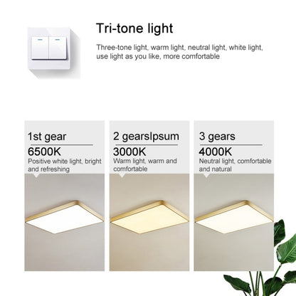 Macaron LED Rectangle Ceiling Lamp, 3-Colors Light, Size:110x70cm(Green) by bashfashion