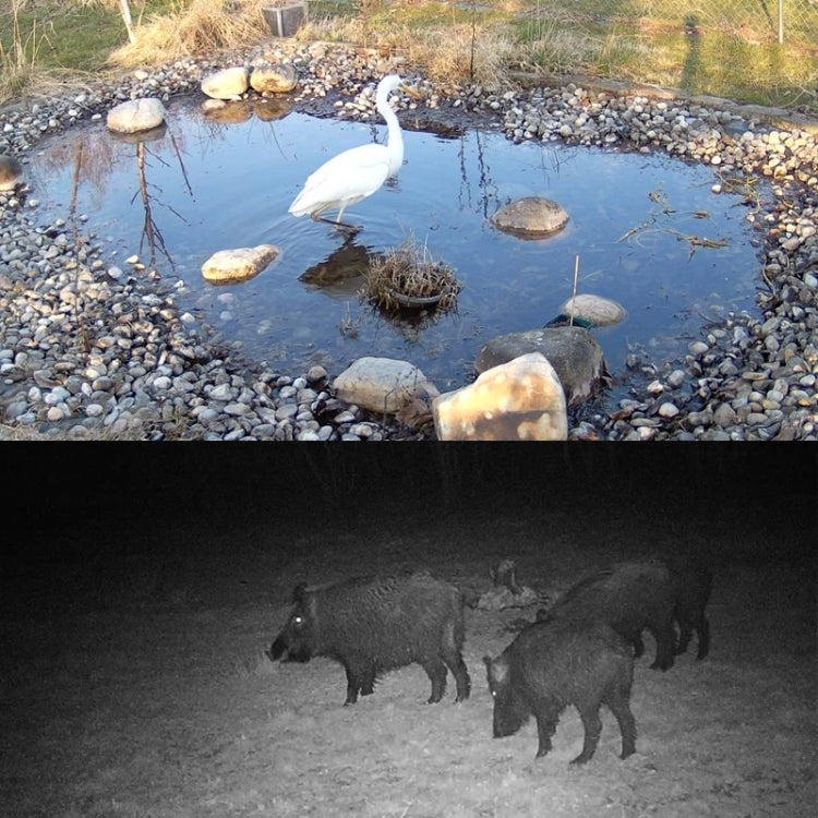 HC-801Pro 4K 4G Outdoor Hunting Camera App Remote Mobile Phone Control To View Photos And Video At Any Time, US Plug by bashfashion