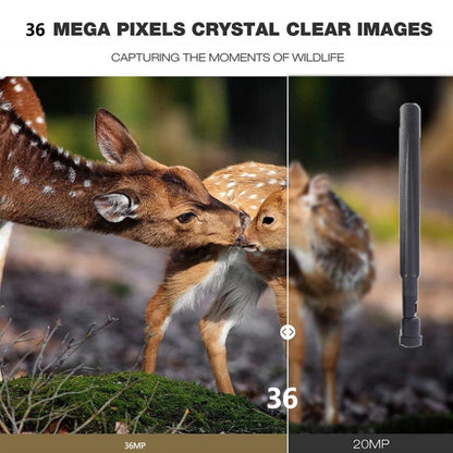 HC-801Pro 4K 4G Outdoor Hunting Camera App Remote Mobile Phone Control To View Photos And Video At Any Time, US Plug by bashfashion